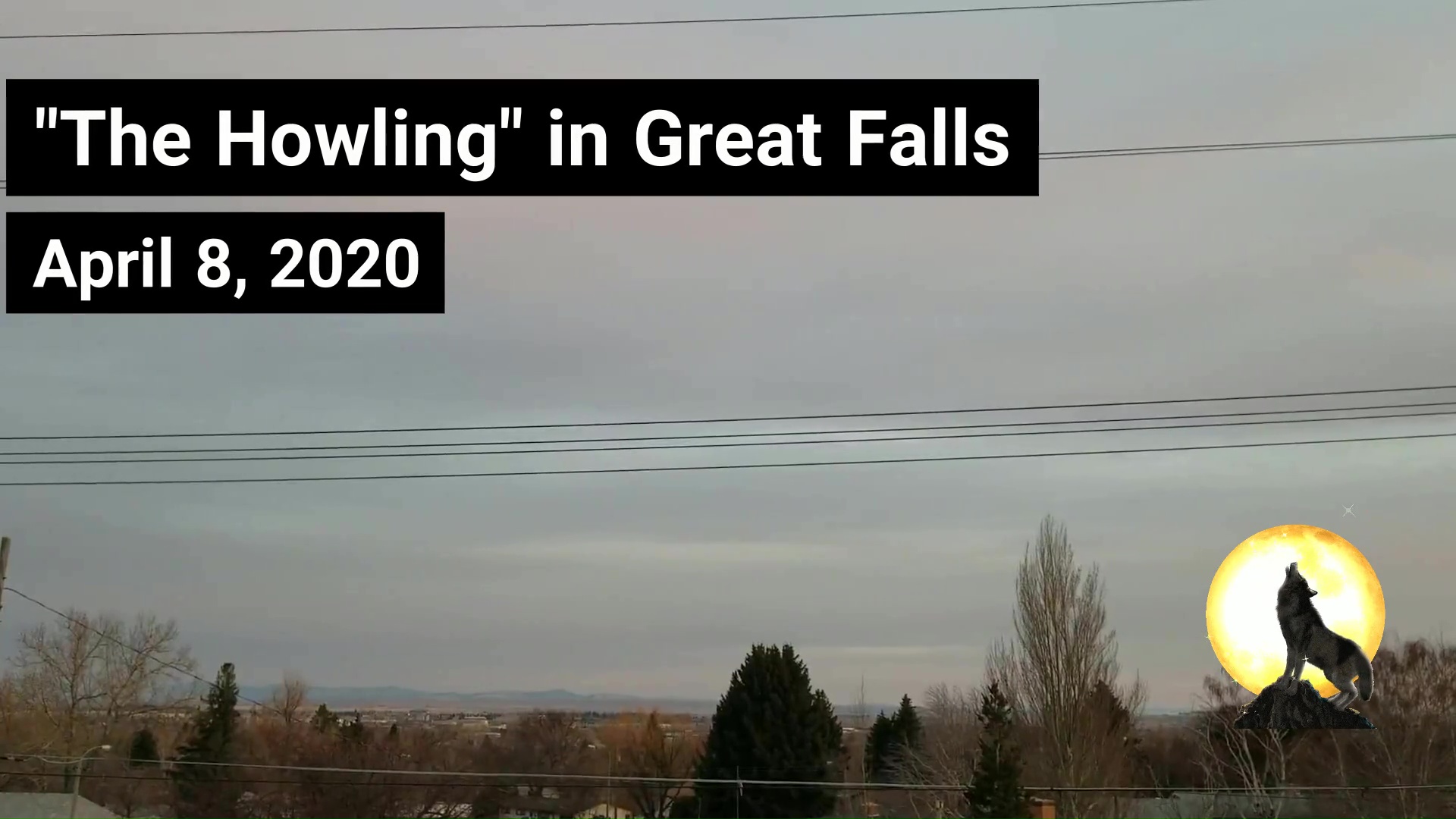 Howling in Great Falls