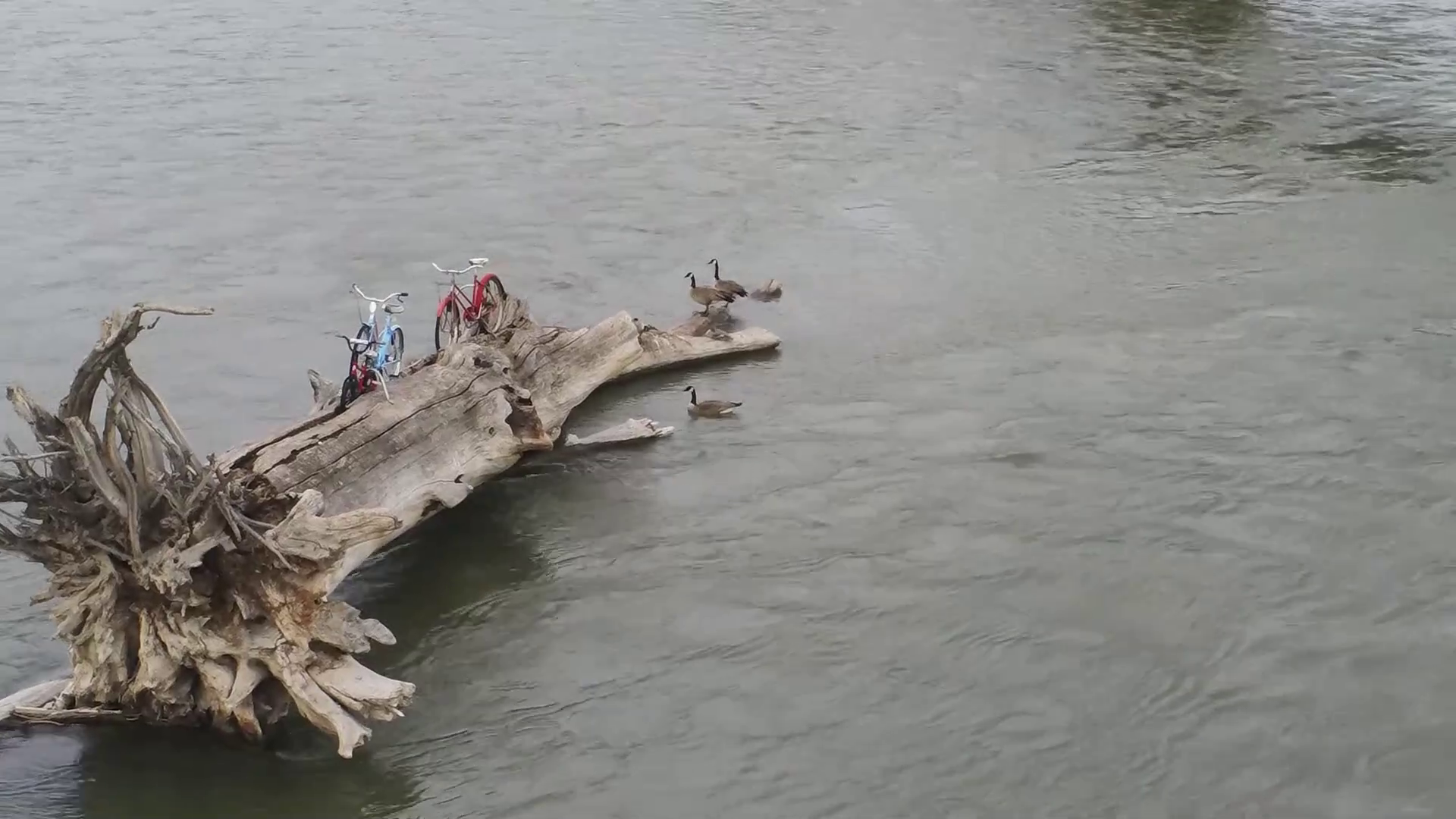 Bikes On A Log In The River